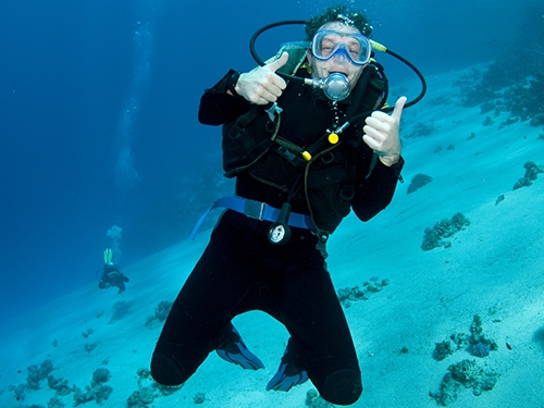 Diving watches